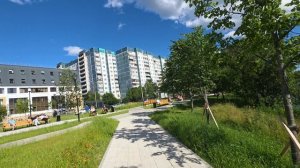 Аренда однушки на Комендантском пр. Приморский район