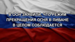 В ООН заявили, что режим прекращения огня в Ливане в целом соблюдается