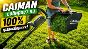 Мощность без бензина CAIMAN ENO LMXi(56) против высокой травы — результат удивил!