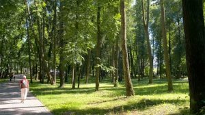 Архангельское_Парк_23-06-2026