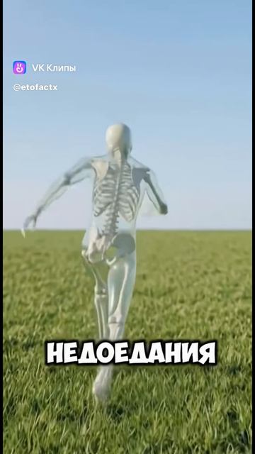 Выбор есть всегда.но итог один🤔