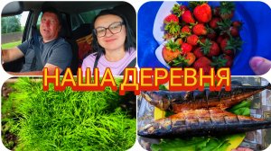 ПОТРАВИЛИ ЖУКОВ 🐛 ПЕРВЫЙ УРОЖАЙ, ВКУСНАЯ РЫБКА 🐠 НА УЖИН 😋