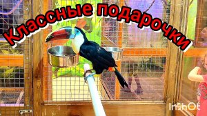 Чутка поработали, отметили день рождения,