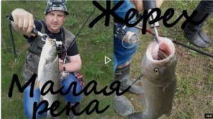 жерех сделавший рыбалку!рыбачу на речке