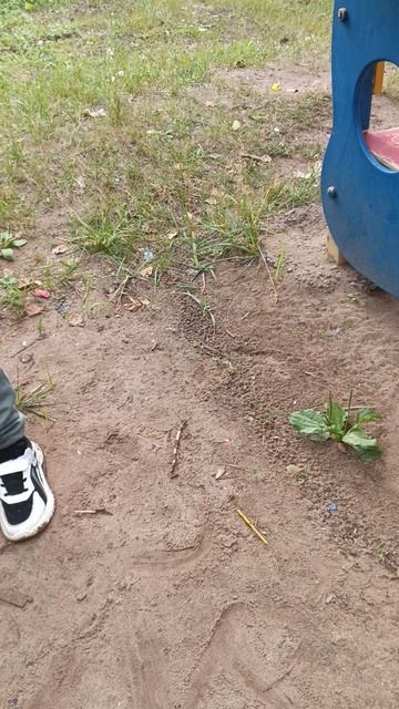 Тимофэка потерял девушку и ограбил сам себя