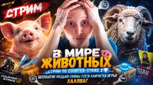 В МИРЕ ЖИВОТНЫХ🐷СТРИМ ПО COUNTER-STRIKE 2💎БЕСПЛАТНО РАЗДАЮ СКИНЫ CS2 И КЛЮЧИ НА ИГРЫ!ХАЛЯВА!
