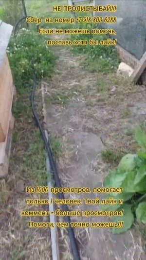 24 июня 2026 г.
