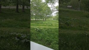 прядки 1 ч