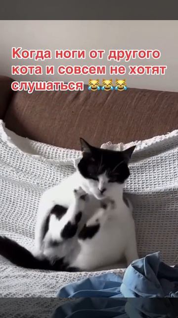 Ноги не слушаются
