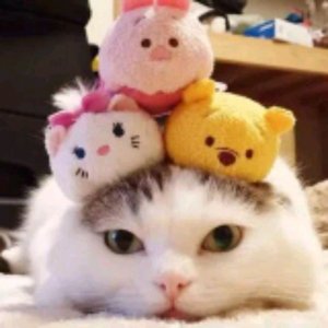Играем в прятки