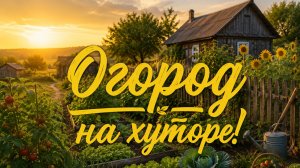 Огород на хуторе!