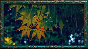 🌧️ Исцеление от бессонницы и тревоги | Звуки дождя для сна, медитации и учебы.