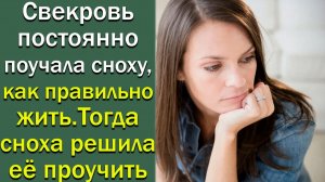 Свекровь постоянно поучала сноху, как правильно жить. Тогда сноха... Истории из жизни