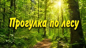 Прогулка по лесу после пьянки!