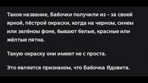 БАБОЧКА ЛОЖНАЯ ПЕСТРЯНКА