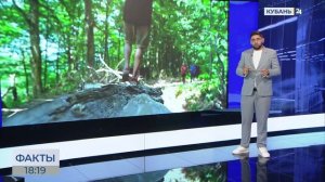 Большая часть летних турмаршрутов Кавказского заповедника доступны с 24 июня