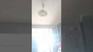 мне покрасили волосы🪮