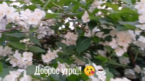 Доброе утро!!!😘👍☕🎶🎶🎶