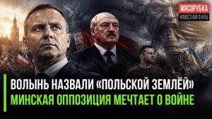Польша начала «делить» Украину || Украина втягивает Белоруссию в войн