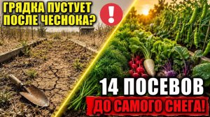 14 ПОСЕВОВ ИЮЛЯ, о которых забывают 9 из 10 дачников! Урожай до самого снега