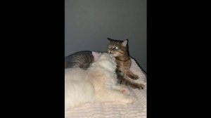 Только теплые объятия между ними