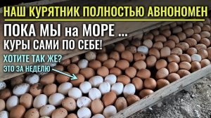Наши куры-несушки сами по себе, пока мы в отпуске - ПОЛНОСТЬЮ АВТОНОМНЫЙ КУРЯТНИК на даче