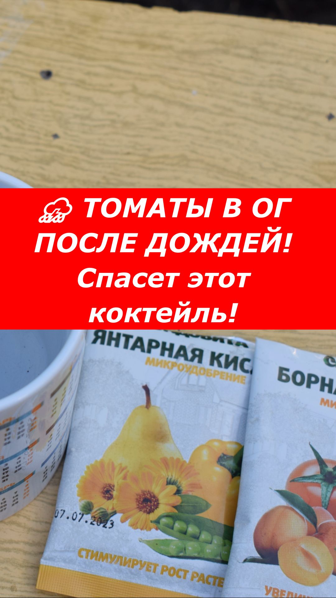 🛑 СРОЧНО СДЕЛАЙ ЭТО с томатами после затяжных дождей!