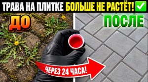Соседи в ШОКЕ! Нашёл способ убрать траву между плиткой РАЗ И НАВСЕГДА!