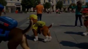 Щенячий патруль танцует в Казани