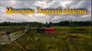 Подводная охота. Малые реки Тверской области.