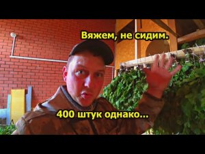 Вяжем веники. 400 штук. Пошли заказы. Отправка веников. Веники на заказ. Заработок в деревне.