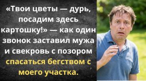 Твои клумбы снесём под картошку! | Истории из жизни