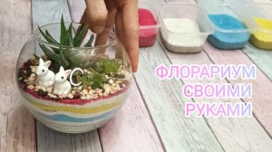 Как легко сделать флорариум с суккулентами