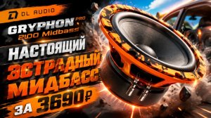 DL Audio Gryphon Pro 200 Midbass. Настоящий ЭСТРАДНЫЙ МИДБАСС ЗА 3690₽
