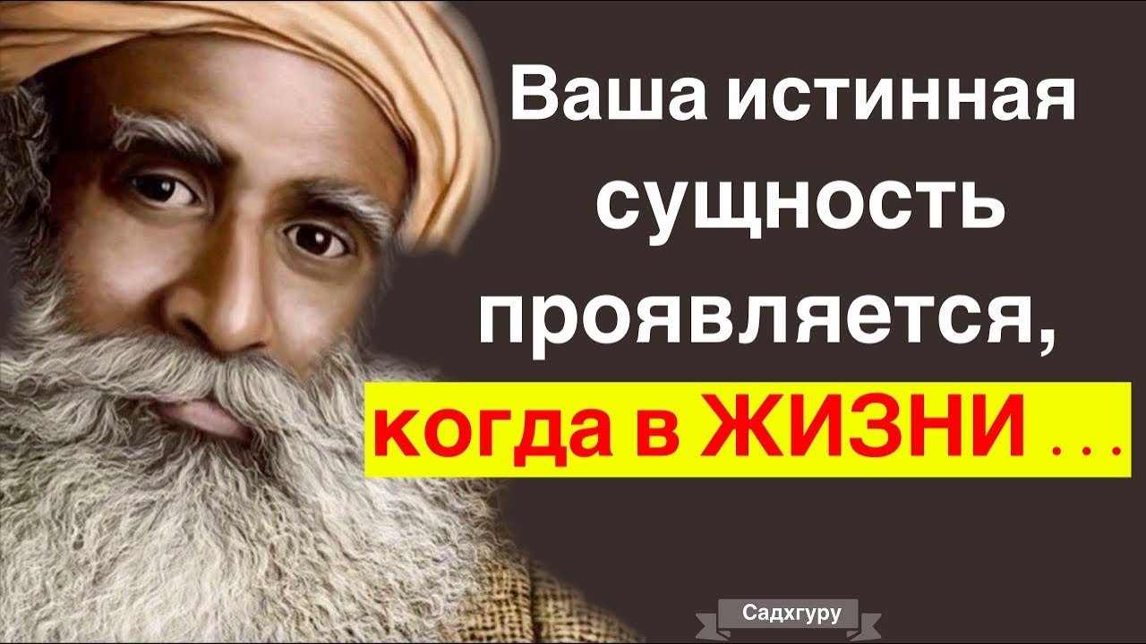 Цитаты, пропитанные мудрость веков. Лучшие Цитаты Великих Людей смотреть онлайн