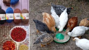 Уже месяц малышам 😊