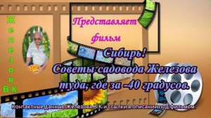 Сибирь! Советы садовода Железова туда, где за -40 градусов.