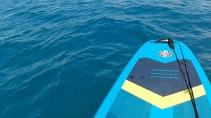 25.06.26 САПборд рыбалка Николаевка КРЫМ!!!!