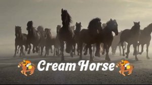 🏇Нови интро🐎