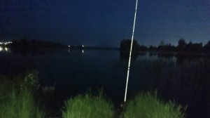 Капризы леща при ловле на донки🎣Новое место преподносит сюрпризы🤔