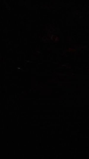 урчание животика от шоколадки и чая﹤3 
мое первое видео