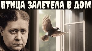 Птица залетела в дом: послание из другого мира или случайность? Расшифровка древних знаков