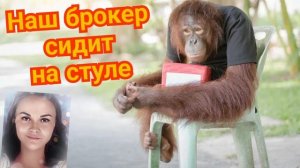 Мошенник-новичок с большим жизненным опытом
