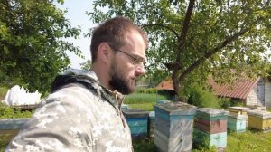 Разведка точков, первая кочевка, пробуем добыть липовый мёд, потеряли тонну мёда, пасека Старчевских