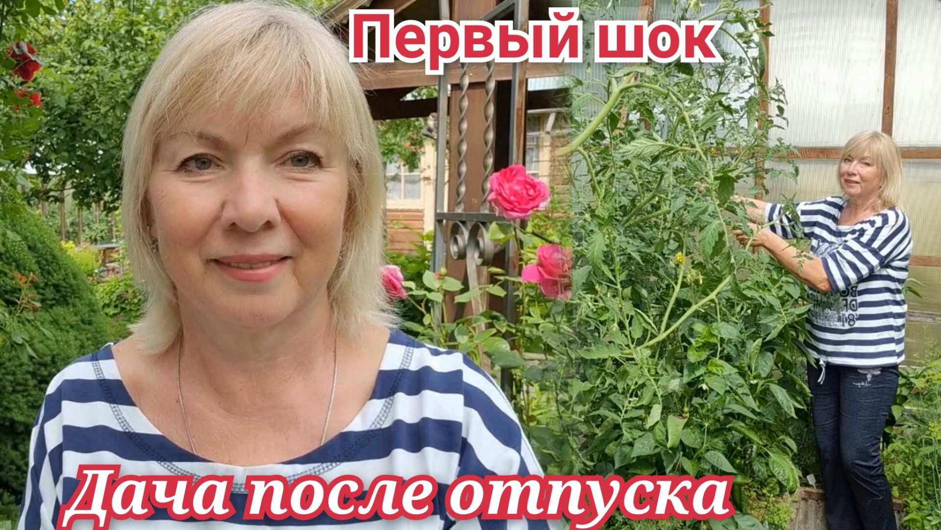 Дача после отпуска Мы в шоке Что выросло Помидоры с перцами созрели смотреть онлайн