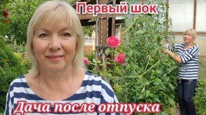 Дача после отпуска Мы в шоке Что выросло Помидоры с перцами созрели