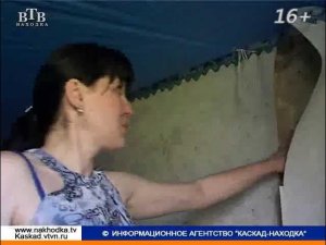 Что делать, если протекает крыша?