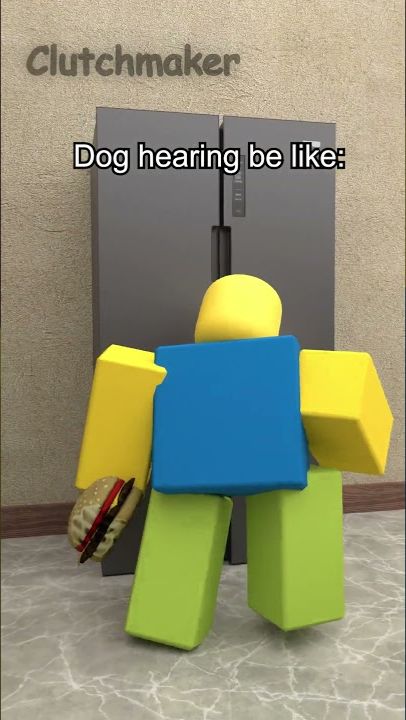 Dog hearing be like: 💀
