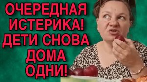 ОЧЕРЕДНАЯ ИСТЕРИКА И ДЕТИ ДОМА ОДНИ. ОЛЬГА ИЗ ЗАУРАЛЬЯ. ОБЗОР.