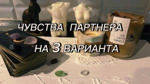 🥹ЕГО ЧУВСТВА...?🤍💫